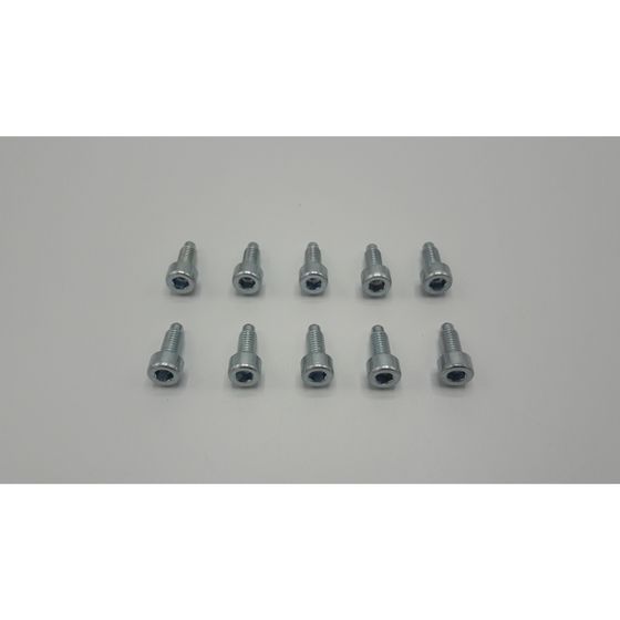 Remeha Schraube, M5x15, S100836