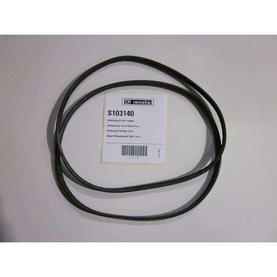 Remeha Dichtring 250mm, S103140