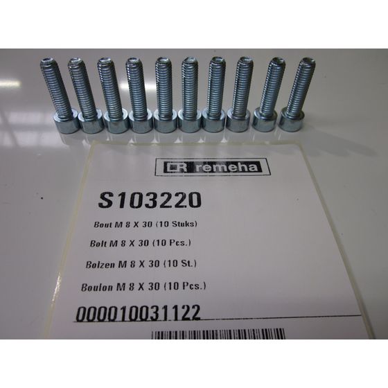 Remeha Schrauben, M8 x 30, S103220