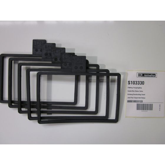 Remeha Dichtung für Rückschlagventil, S103330