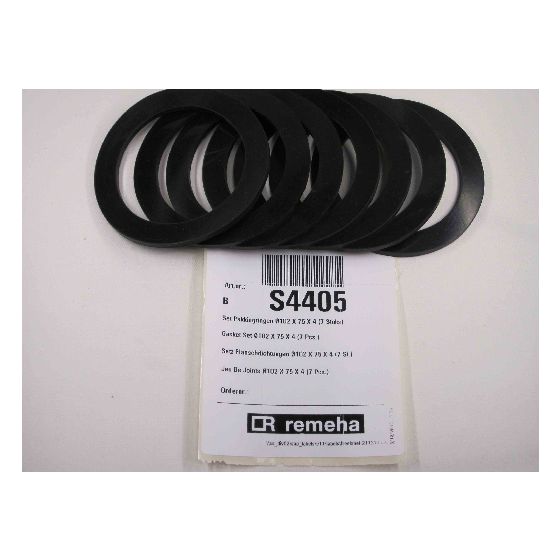 Remeha Dichtsatz für G3000, S4405