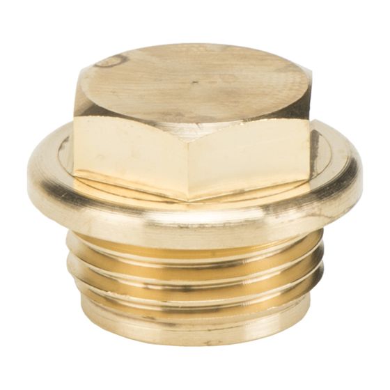 Resideo Sechskantstopfen für Rückflussverhinderer RV283P, DN 125–300