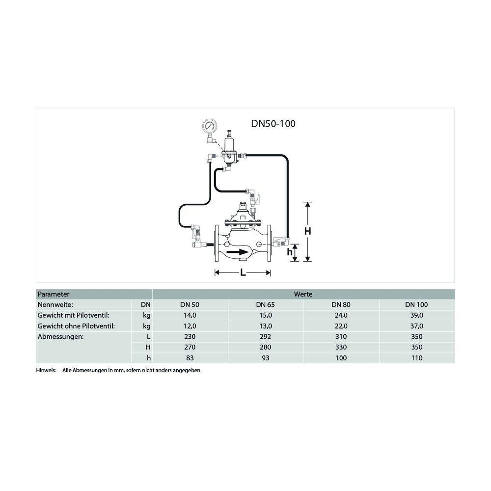 Resideo Sicherheitsventil SV300, GGG, plvb, A DN 100, Blau... RESIDEO-SV300-100A 4019837063238 (Abb. 4)
