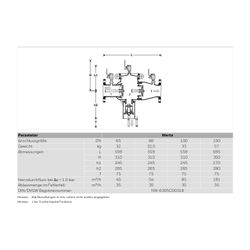 Resideo Systemtrenner BA298I-F Bauart BA, Edelstahl FA, DN 65... RESIDEO-BA298I-65FA 4019837022952 (Abb. 1)