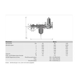 Resideo Wasserstation HS10S-FA DN 80, Rückspülbar... RESIDEO-HS10S-80FA 4019837130688 (Abb. 1)