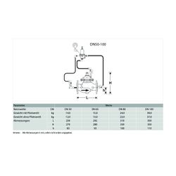 Resideo Sicherheitsventil SV300, GGG, plvb, A DN 100, Blau... RESIDEO-SV300-100A 4019837063238 (Abb. 1)