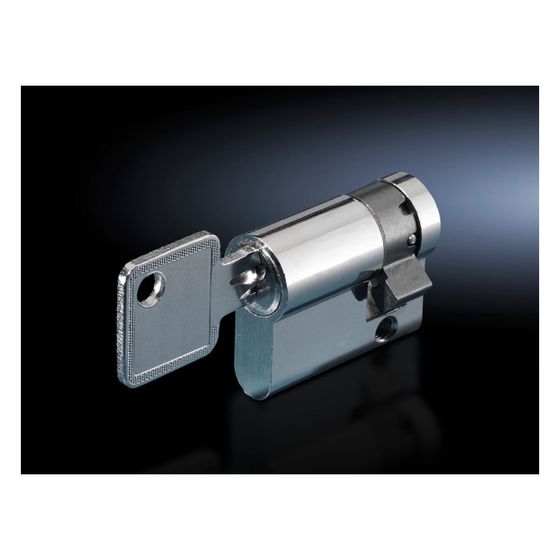 Rittal Profilhalbzylinder CS 9785042, 40mm, gleichschließend