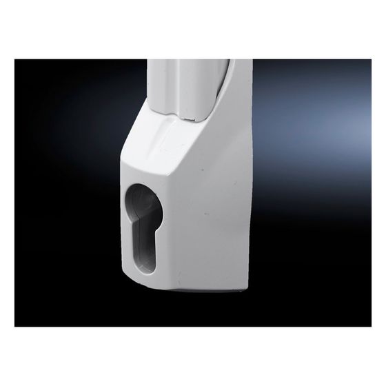 Rittal Mini-Komfortgriff 7705.120, für Profilhalbzylinder, Zink-Druckguss, RAL 7035
