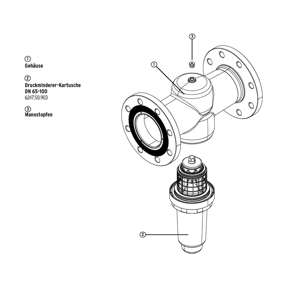 SYR Sasserath Flanschdruckminderer 6247, Anschlussgröße DN 65, bis Baujahr 12/20... SASSERATH-6247.65.000 4017905077101 (Abb. 5)
