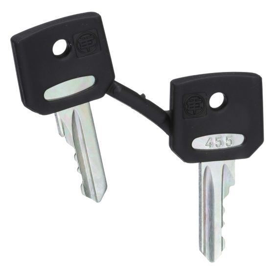 Schneider Electric Ersatzschlüssel ZBG455, Schlüsselnummer 455, 2 Stück