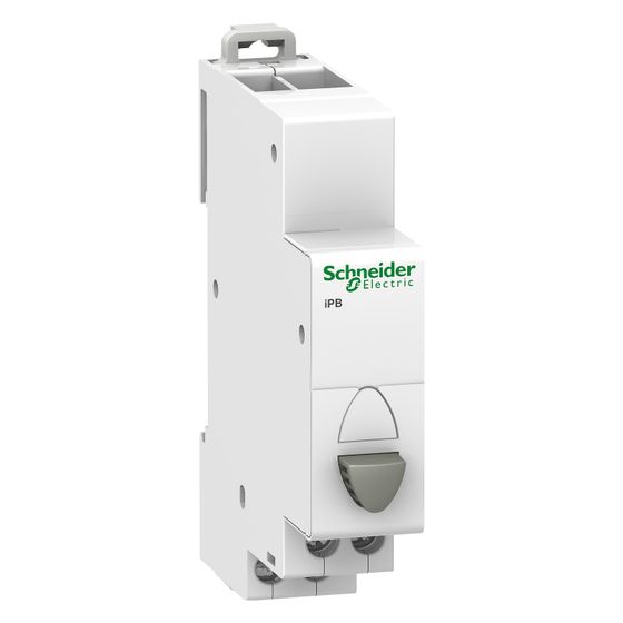 Schneider Electric Drucktaste Acti9 iPB, 250V 20A, 18x82x71,5mm, Grau