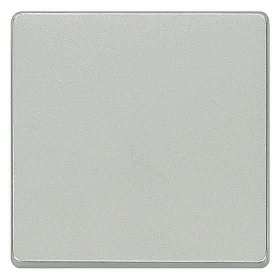 Siemens Wippe neutral aluminiummetallic 55x55mm IP20 5TG6241