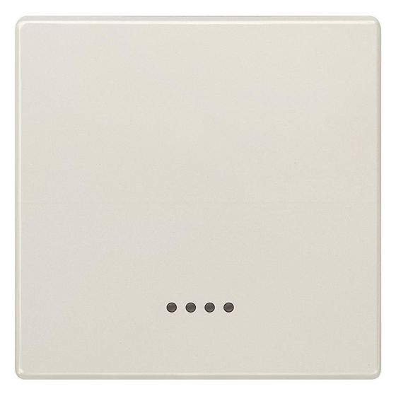 Siemens DELTA style Wippe mit Fenster Titanweiß 68x68mm 5TG7140