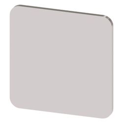Siemens Bezeichnungsschild quadratisch 22x22mm Silber 3SU19000AF810AA0... SIEMENS-3SU19000AF810AA0 4011209962361 (Abb. 1)