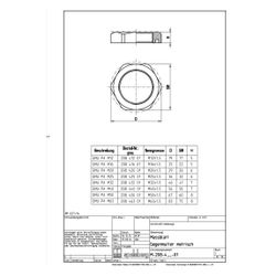 Spelsberg Gegenmutter GMU PA M20 sechseckig, M20 1,5mm, Polyamid, grau... SPELSBERG-20842001 4013902012503 (Abb. 1)