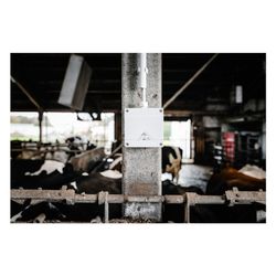 Spelsberg Abzweigkasten Abox Pro 060-L, 127x127x75mm, IP66/IP67/IP69, 6mm2, Kunstst... SPELSBERG-40640001 4013902664276 (Abb. 1)