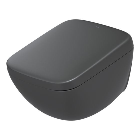 TOTO Washlet für Neorest WX1 mit Fernbedienung und Ewater plus, Ureaharz/Thermoplast, Mattschwarz