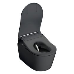 TOTO WC RP wandhängend, Tiefspüler, randlos, verdeckte Befestigung, für Washlet, Mat... TOTO-CW542ERY#MBL 4050663096953 (Abb. 1)