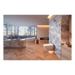 TOTO Washlet für Neorest WX1 mit Fernbedienung und EWATER plus, Ureaharz/Thermoplast,... TOTO-TCF95180GEU 4050663096656 (Abb. 1)