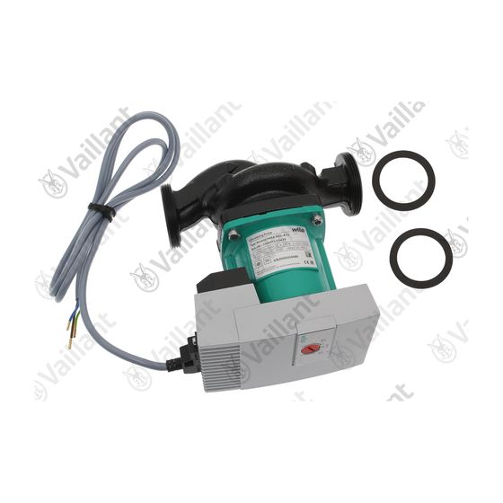 Vaillant Pumpe 0020217866