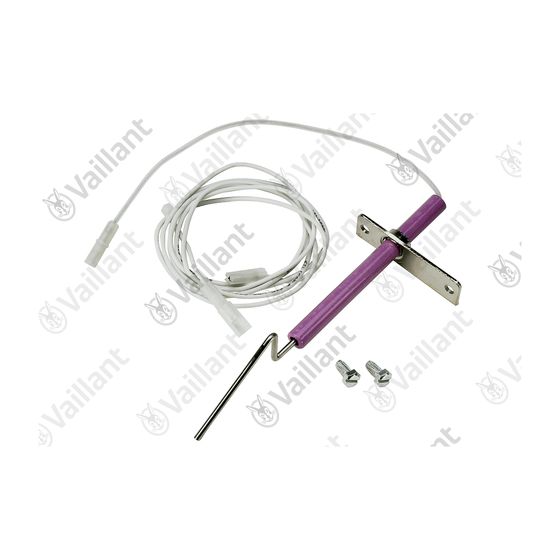 Vaillant Elektrode Überwachung 090702