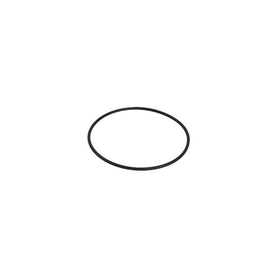 Viessmann O-Ring Pumpenflansch 104,37x3,53mm