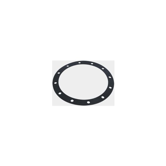 Viessmann Speicherdichtung 250x310x3mm