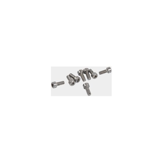Viessmann Hot-Lock-Schraube Rexola M 5x12mm 8