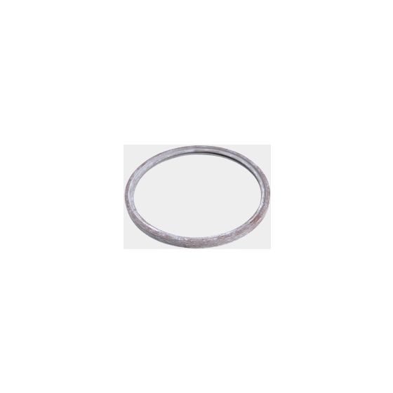 Viessmann Abgasdichtung PPS Abgassystem 250