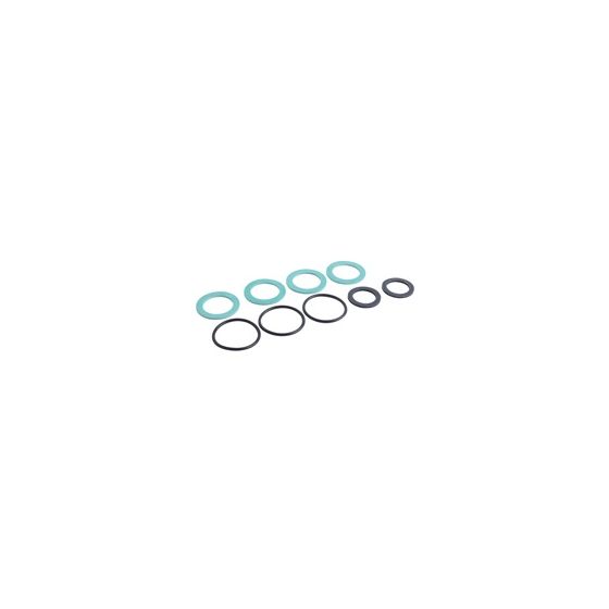 Viessmann Dichtungssatz Vitogas, 7826773