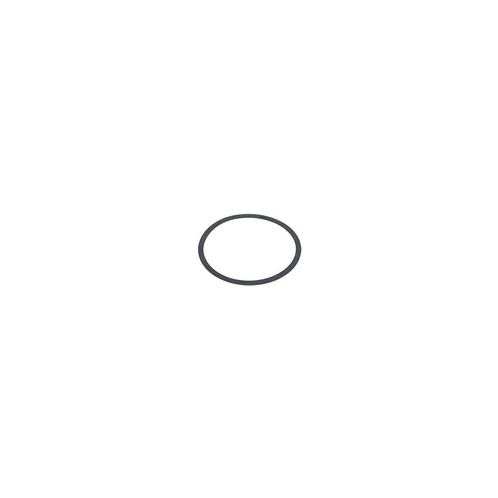 Viessmann O-Ring Gebläse ebm G 1" G144... VIESSMANN-7831363  (Abb. 1)