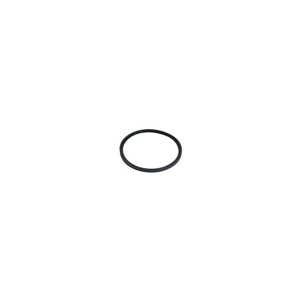 Viessmann Lippendichtung d. 110mm, 7818677... VIESSMANN-7818677  (Abb. 1)
