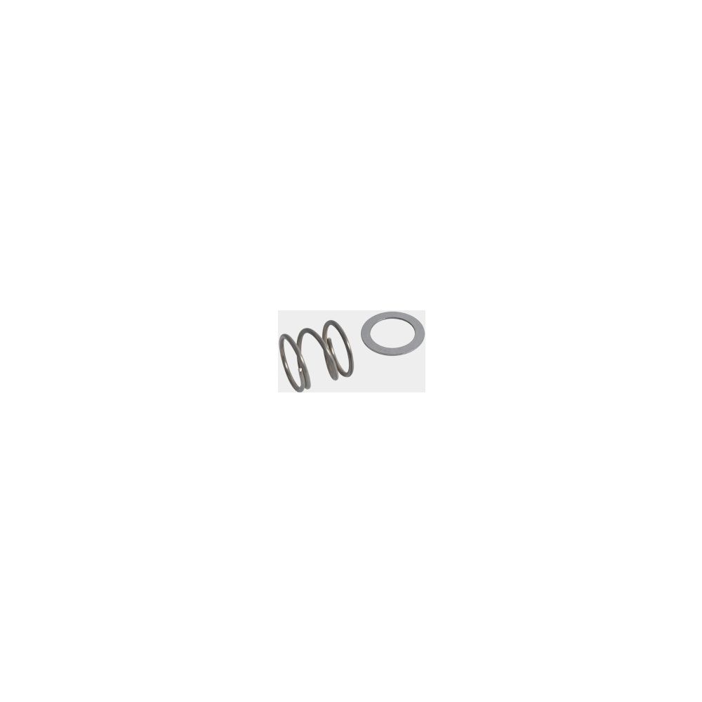 Viessmann Druckfeder und Scheibe, 7823524... VIESSMANN-7823524  (Abb. 1)