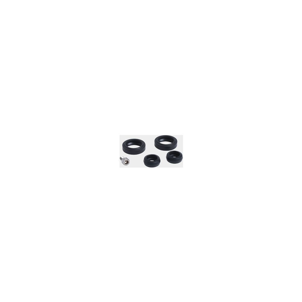 Viessmann Dichtungssatz PWT und Schraube... VIESSMANN-7841796 (Abb. 1)