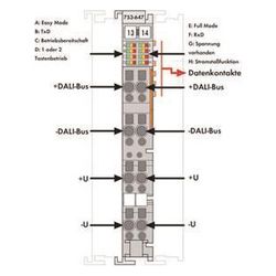 Wago DALI-Multi-Master-Modul 750 753-647, 12mm, Polycarbonat/Polyamid 6.6... WAGO-753-647 4050821475712 (Abb. 1)