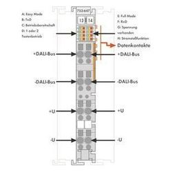 Wago DALI-Multi-Master-Modul 750 753-647, 12mm, Polycarbonat/Polyamid 6.6... WAGO-753-647 4050821475712 (Abb. 1)