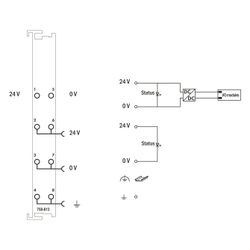 Wago Systemeinspeisung 750-613, DC 24 V, 100x12x69,8mm, Polycarbonat/Polyamid 6.6, lichtg... WAGO-750-613 4045454393823 (Abb. 1)