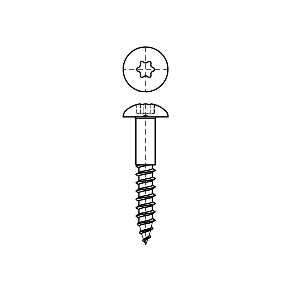 Walraven RapidRail Schraube Sechsrund T30, 6x40mm, für Schiene WM0-35, elektrolytisc... WALRAVEN-61843640 8712993985654 (Abb. 5)