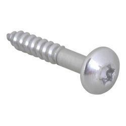 Walraven Schraube RapidRail TX30 ev 6,0x40 - für Schiene WM0-35... WALRAVEN-61843640 8712993985654 (Abb. 1)