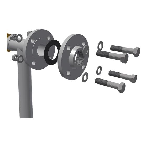 Biocat Flanschanschluss-Set für KS 11000, 14000, 3.5D bis 15D in DN 50