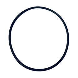 Wilo O-Ring Innendurchmesser 107,54x3,53mm, 2010300... WILO-2010300 4048482135434 (Abb. 1)