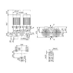 Wilo Trockenläufer-Standard-Doppelpumpe DL 65/250-3/4 DN65 3x400V 3kW... WILO-2120960 4048482218717 (Abb. 1)